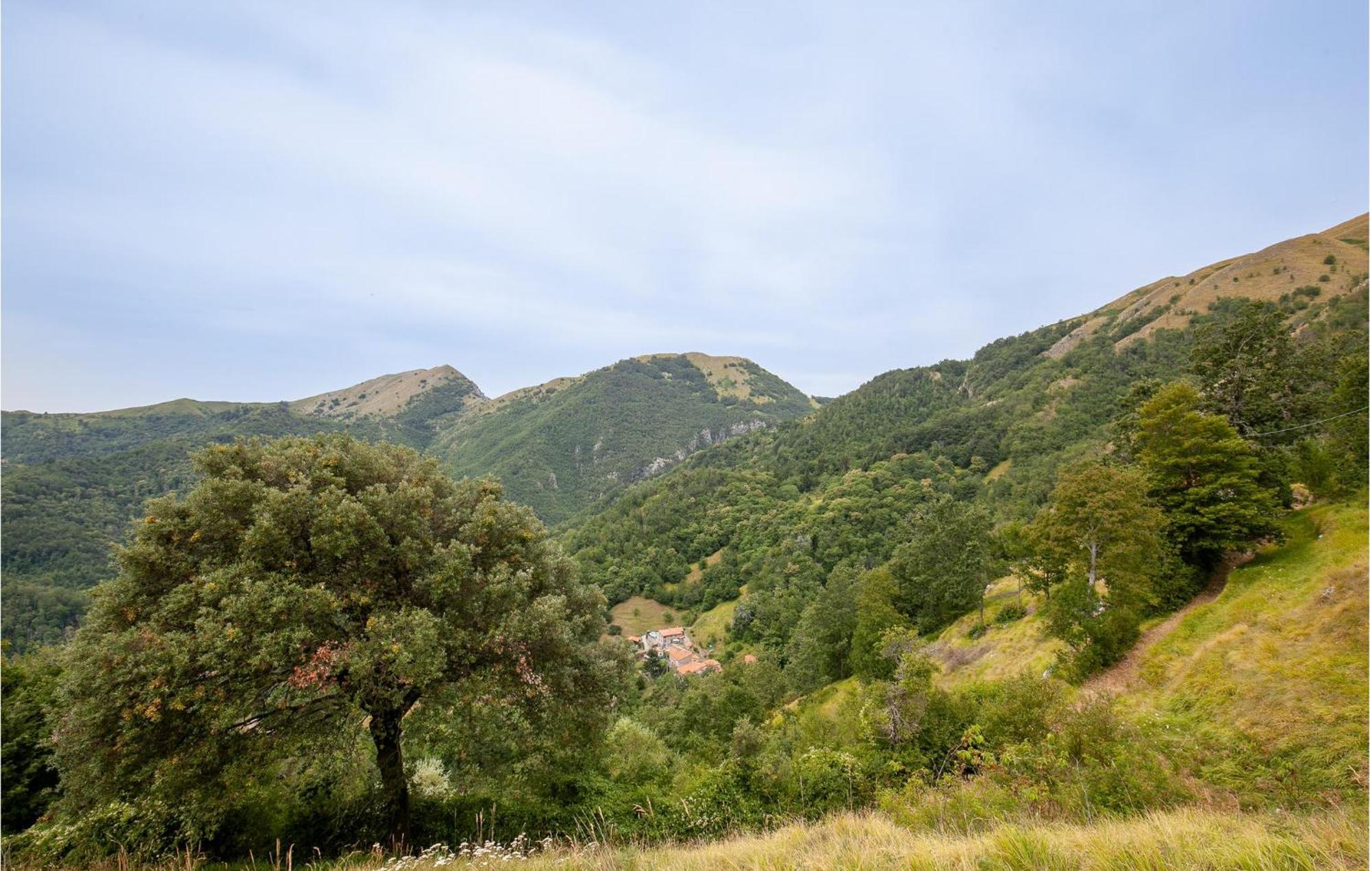 Campanella Villa Palagnana ภายนอก รูปภาพ